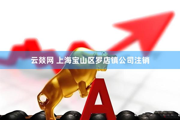 云燚网 上海宝山区罗店镇公司注销
