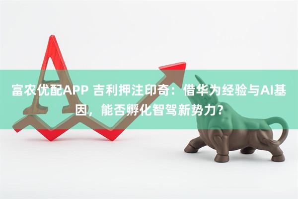 富农优配APP 吉利押注印奇：借华为经验与AI基因，能否孵化智驾新势力？